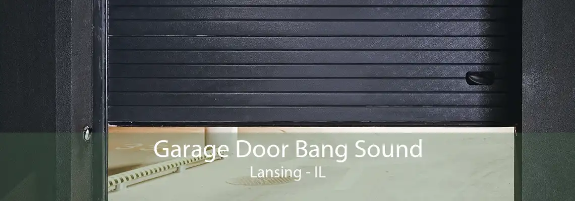 Garage Door Bang Sound Lansing - IL