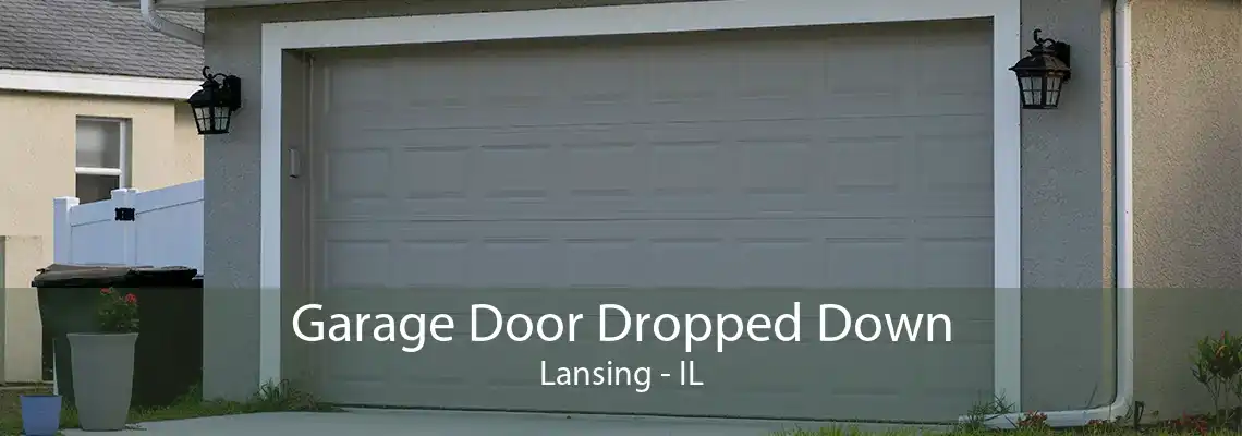 Garage Door Dropped Down Lansing - IL