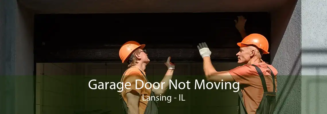 Garage Door Not Moving Lansing - IL