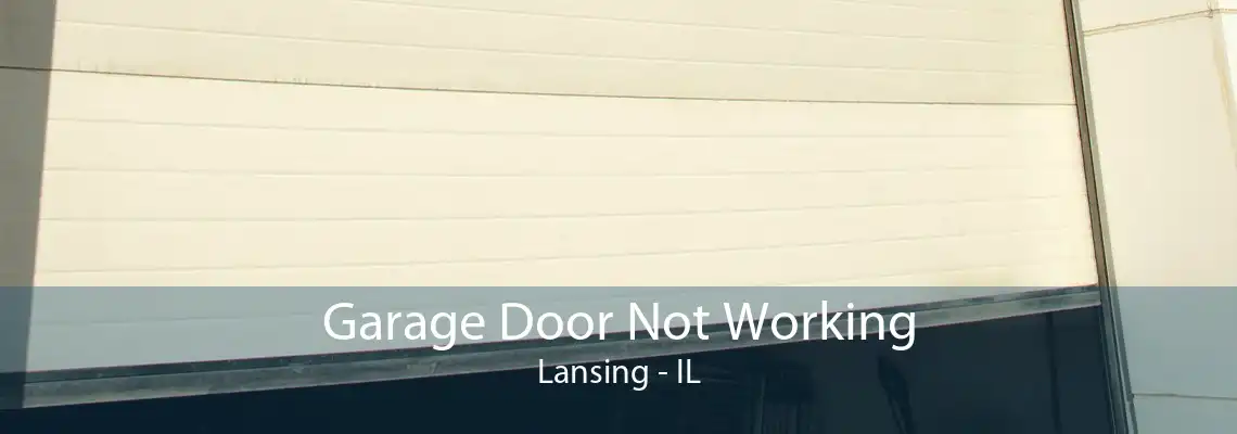 Garage Door Not Working Lansing - IL