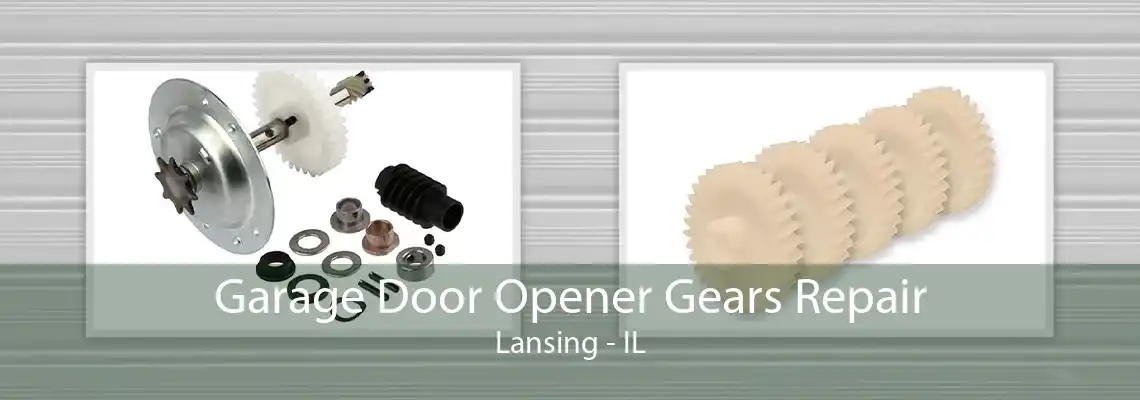 Garage Door Opener Gears Repair Lansing - IL