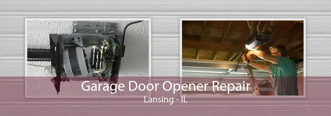 Garage Door Opener Repair Lansing - IL