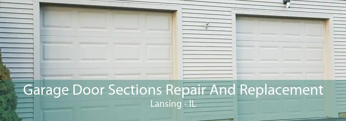 Garage Door Sections Repair And Replacement Lansing - IL