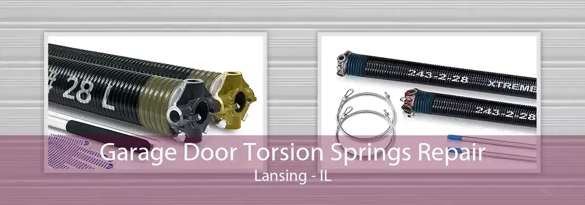 Garage Door Torsion Springs Repair Lansing - IL