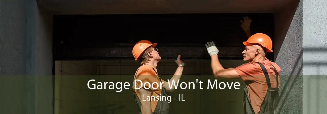 Garage Door Won't Move Lansing - IL