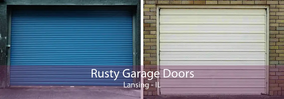 Rusty Garage Doors Lansing - IL